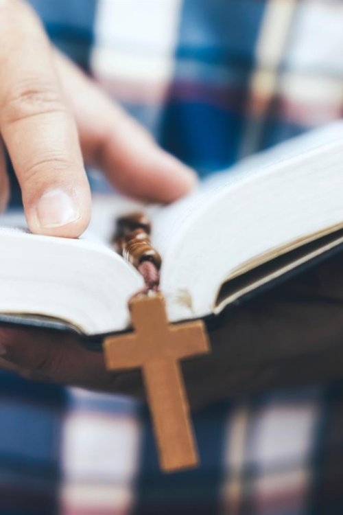 AdobeStock_241613793 (1)