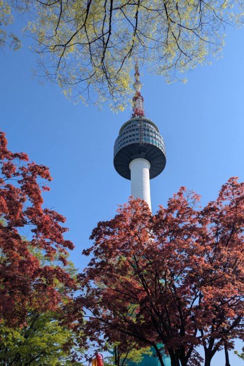 65a8c582-a50a-4bba-ac8c-02829dd5c31a