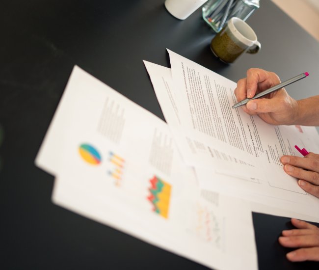 Forskningsbilder 2020 Breistein-40