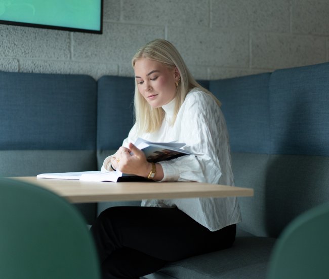 HSM_2024_NLAØkonomi-151-2