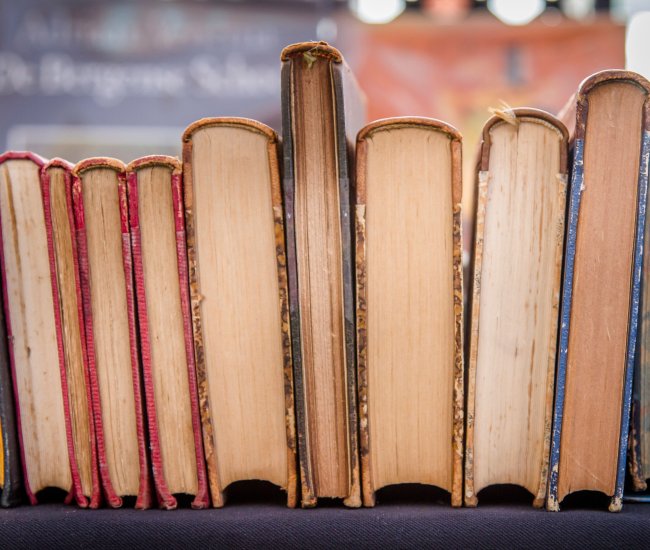 second-hand-books-in-a-row-on-a-market-stall-old-2024-12-06-20-59-15-utc