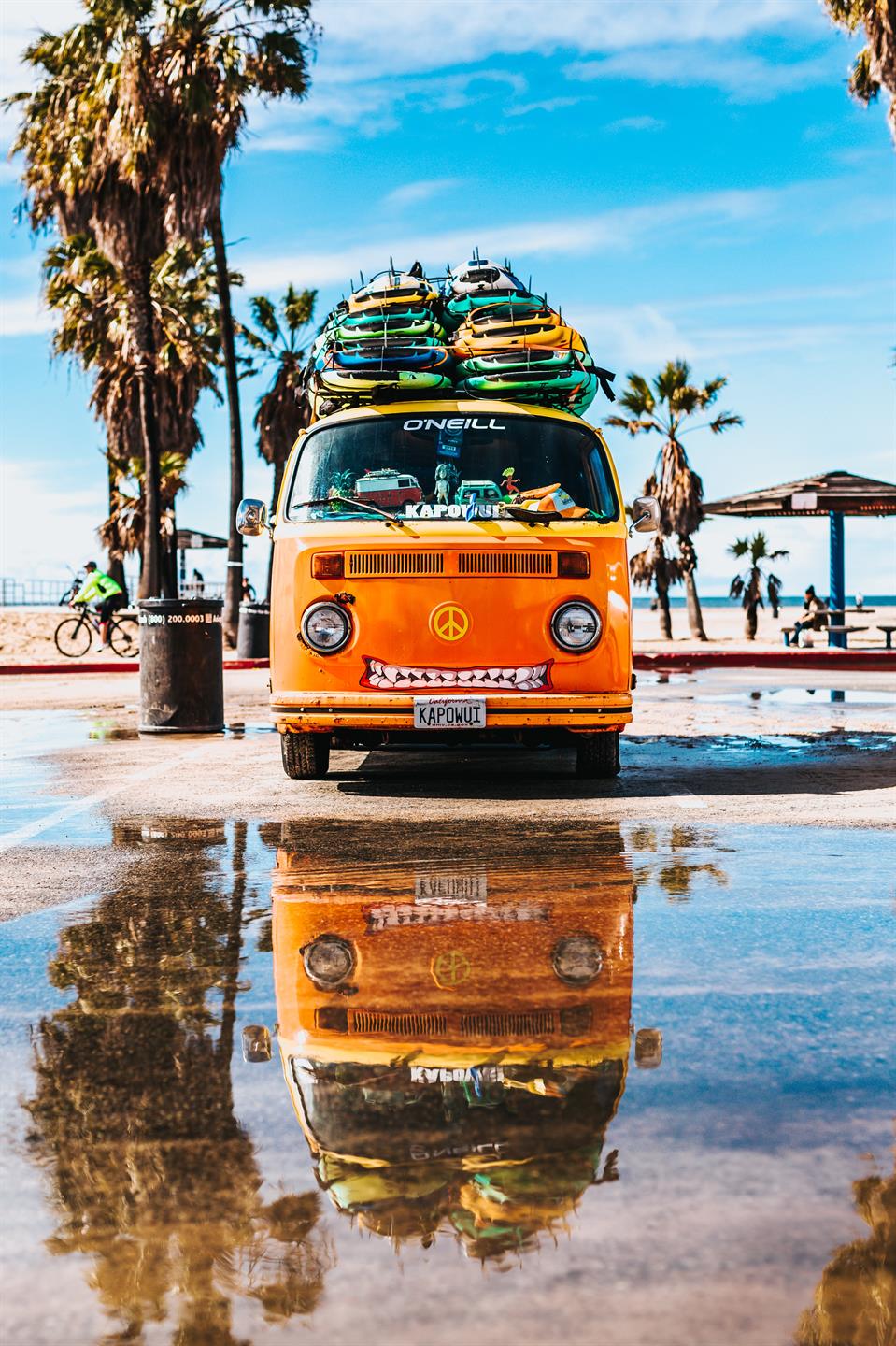 tyler-nix-6mze64HRU2Q-unsplash(1).jpg