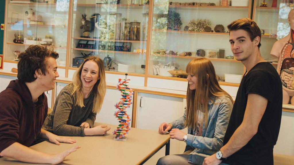 Naturfag årsstudium