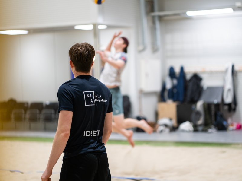 Beachvolleyball-2646