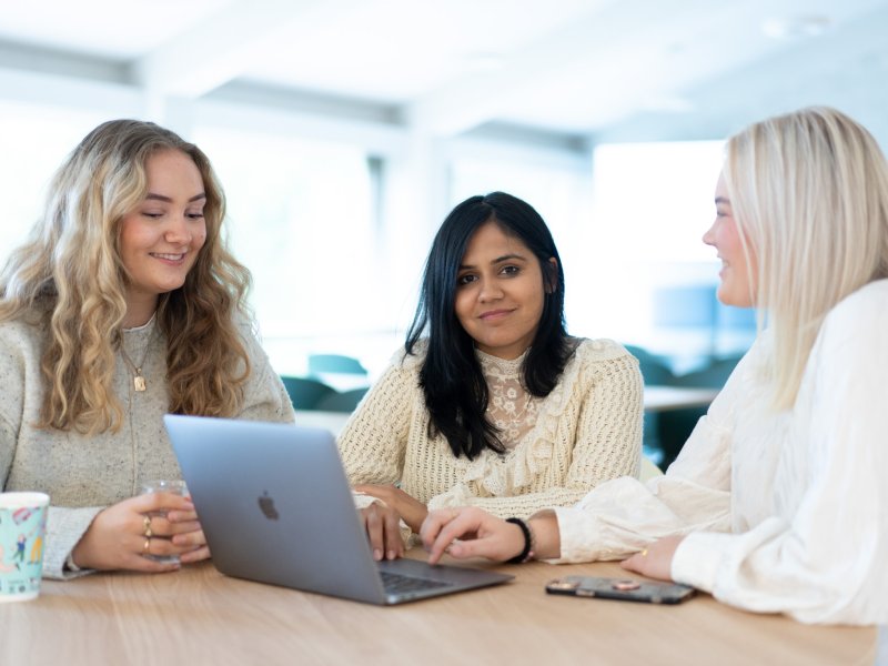 HSM_2024_NLAØkonomi-120-2