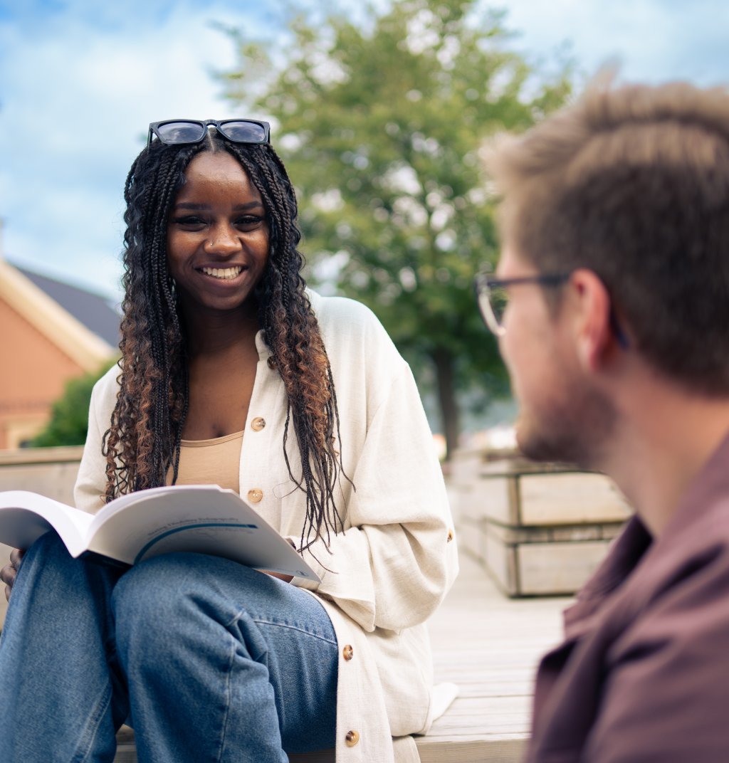 interkulturelle studier