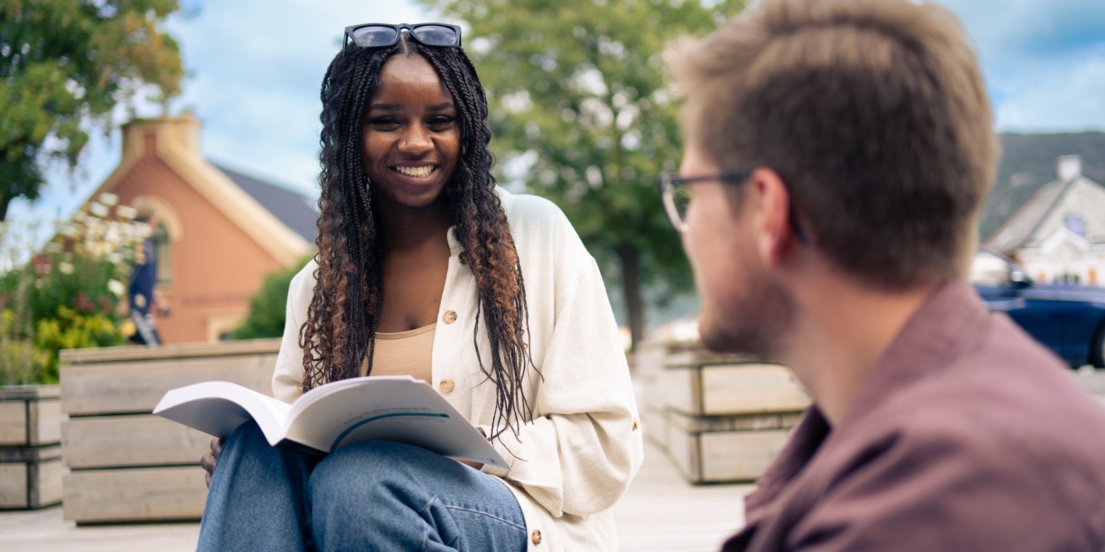 interkulturelle studier