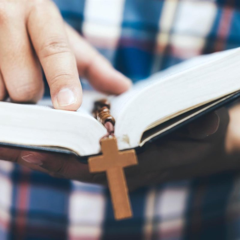 AdobeStock_241613793 (1)